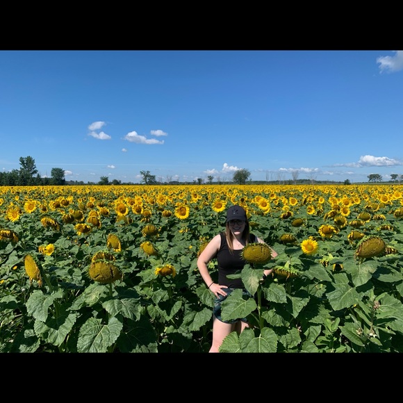 Meet your Posher, Sophie - Picture 1 of 1